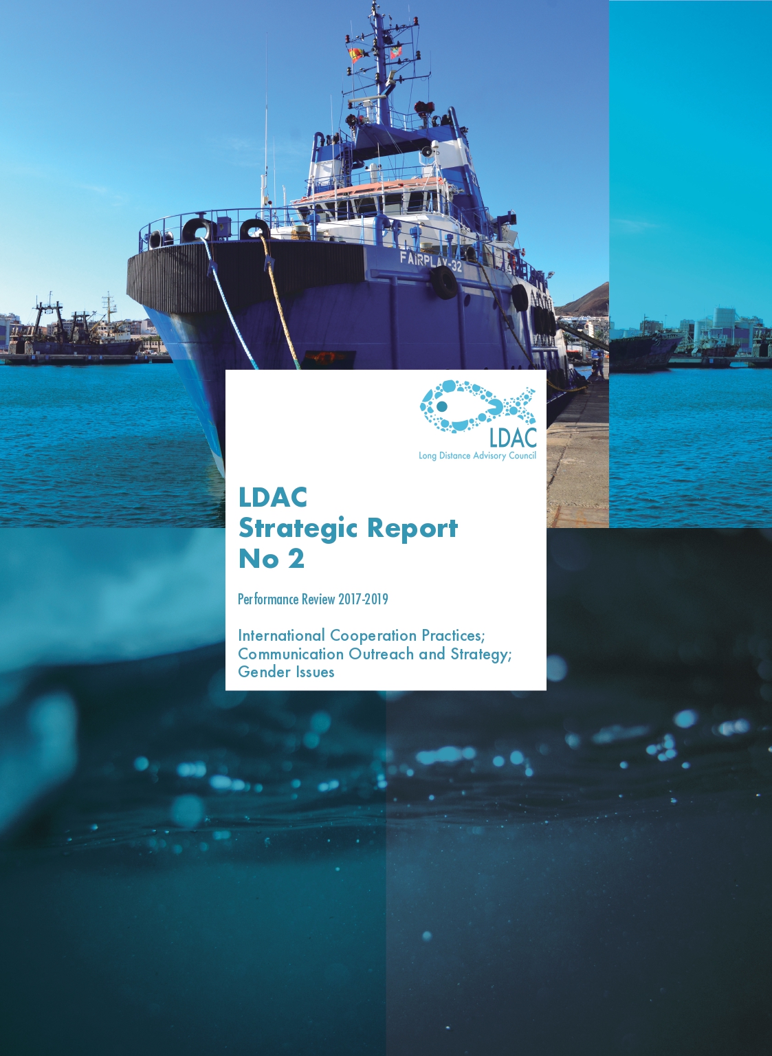 LDAC Performance Review 2020 (Phase II)