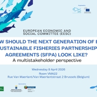 How should the next generation of EU Sustainable Fisheries Partnership Agreements (SFPAs) look like? A multistakeholder perspective 