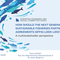 How should the next generation of EU Sustainable Fisheries Partnership Agreements (SFPAs) look like? A multistakeholder perspective 